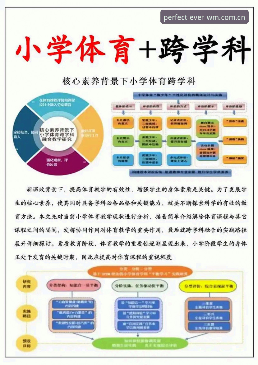 完美体育最新版本实用技巧与必备知识分享